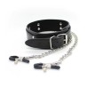 Collar with Nipple Clamps Black