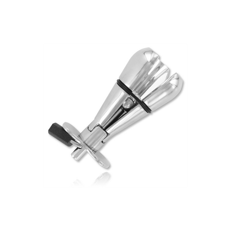 Stainless Steel Asslock con lucchetto per dominazione