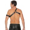 Gladiator Harness